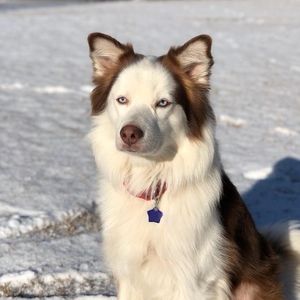 Meet your Posher, Missy